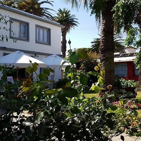 Hotel Puerto Las Palmas Punta del Este Zewnętrze zdjęcie