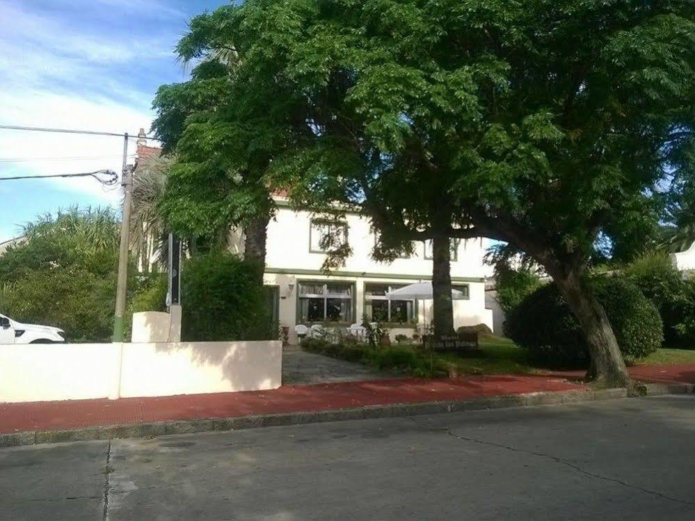 Hotel Puerto Las Palmas Punta del Este Zewnętrze zdjęcie