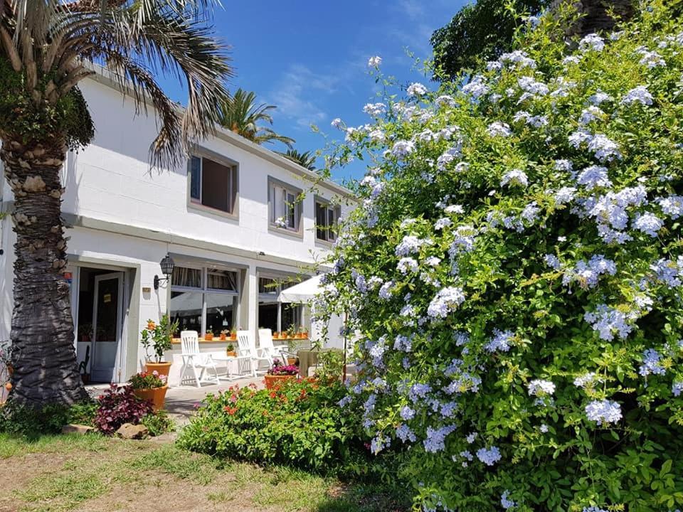Hotel Puerto Las Palmas Punta del Este Zewnętrze zdjęcie
